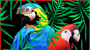 Ro London Macaw Sarong