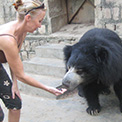 Ro London. Agra Bear Sanctuary, volunteer on my second Free the Bears Fund tour.